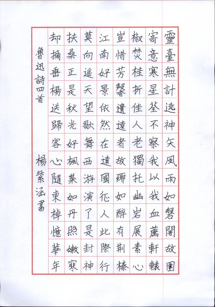 杨紫涵 (5)