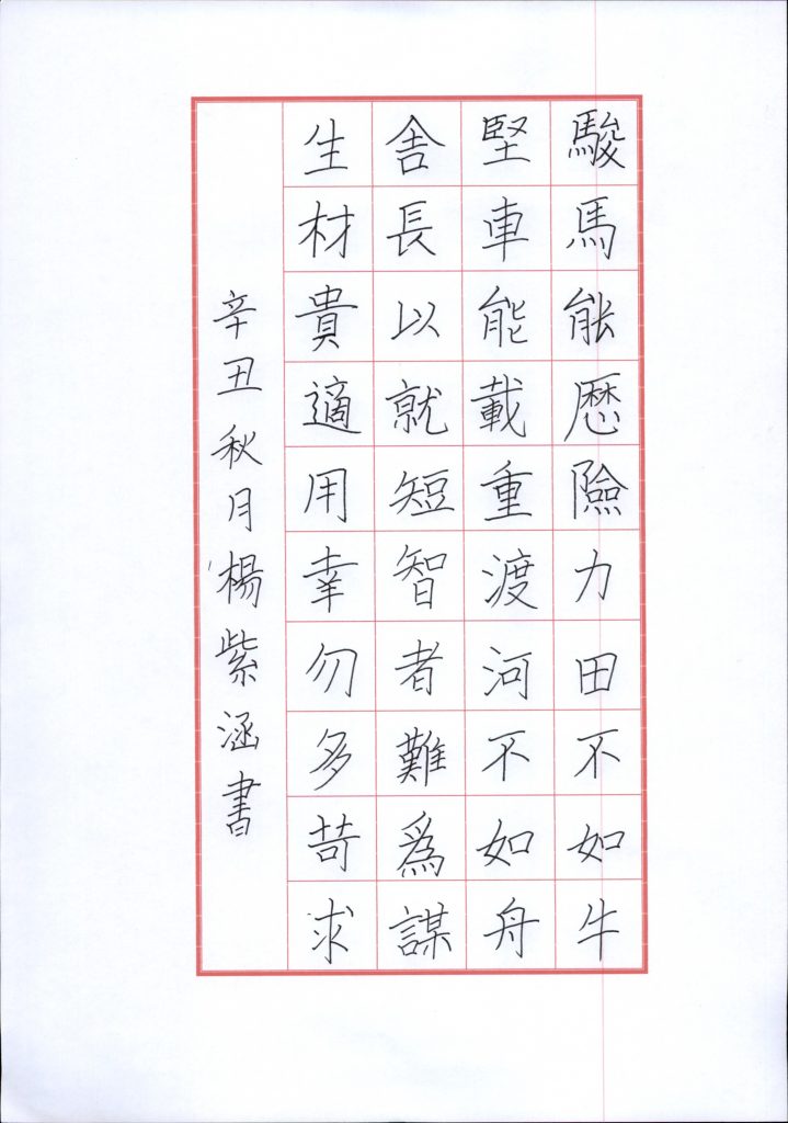 杨紫涵 (8)