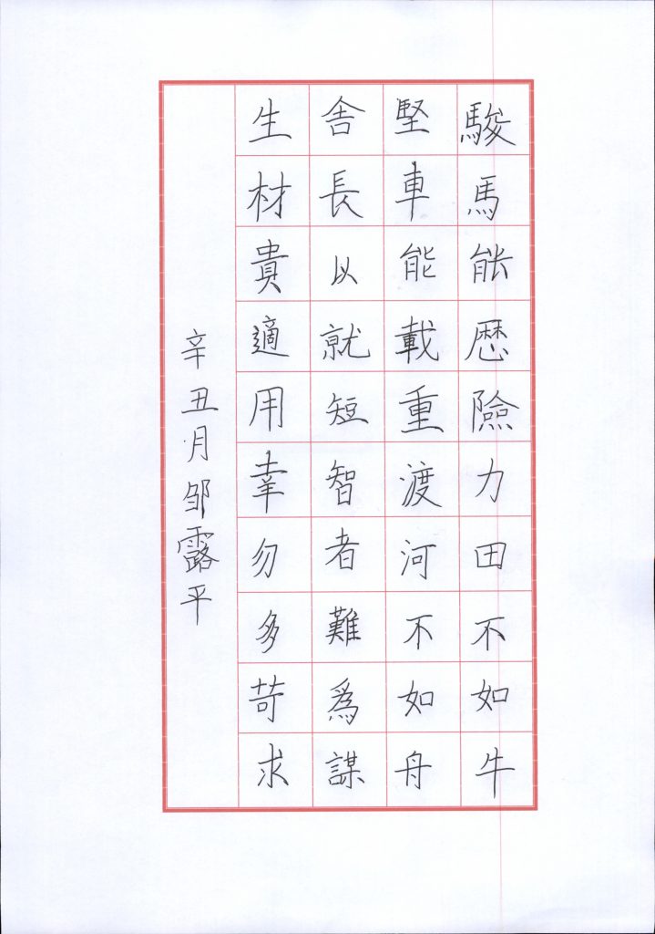 邹露平 (4)
