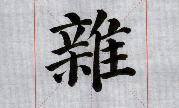 1003