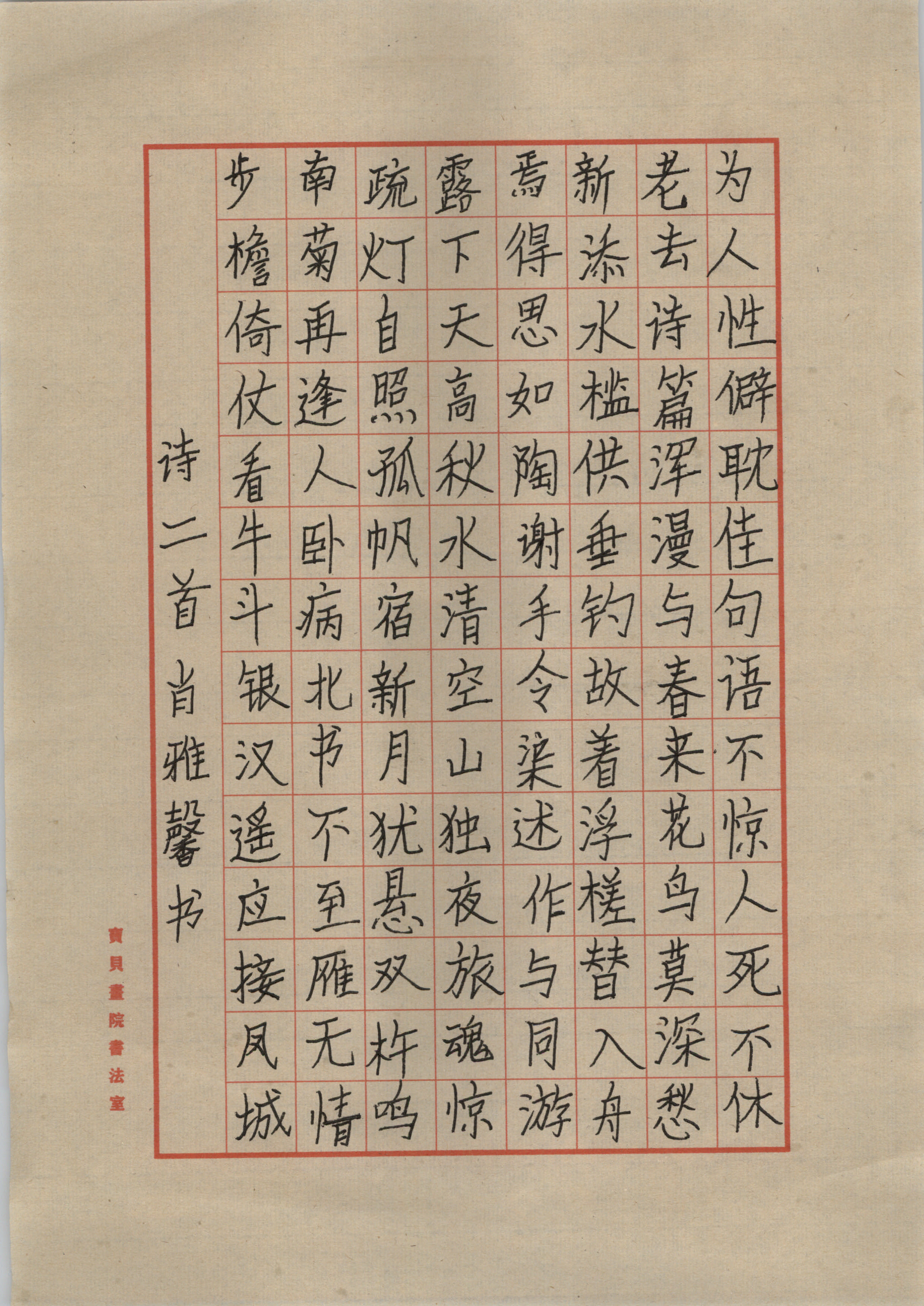 肖雅馨