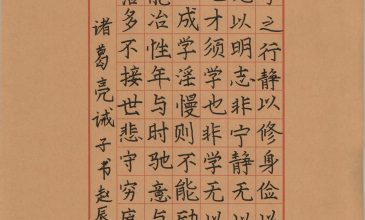 赵辰逸
