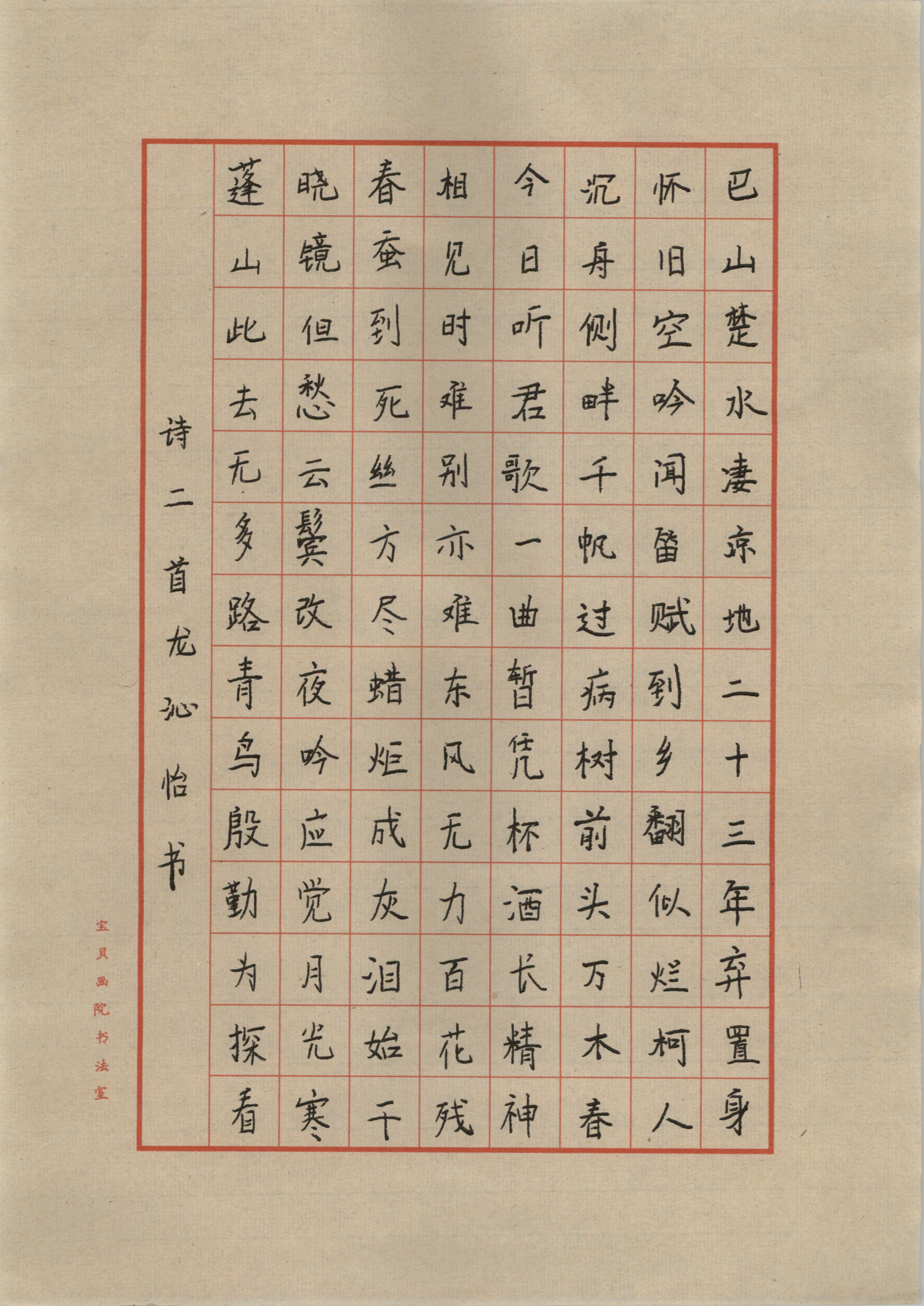 龙沁怡