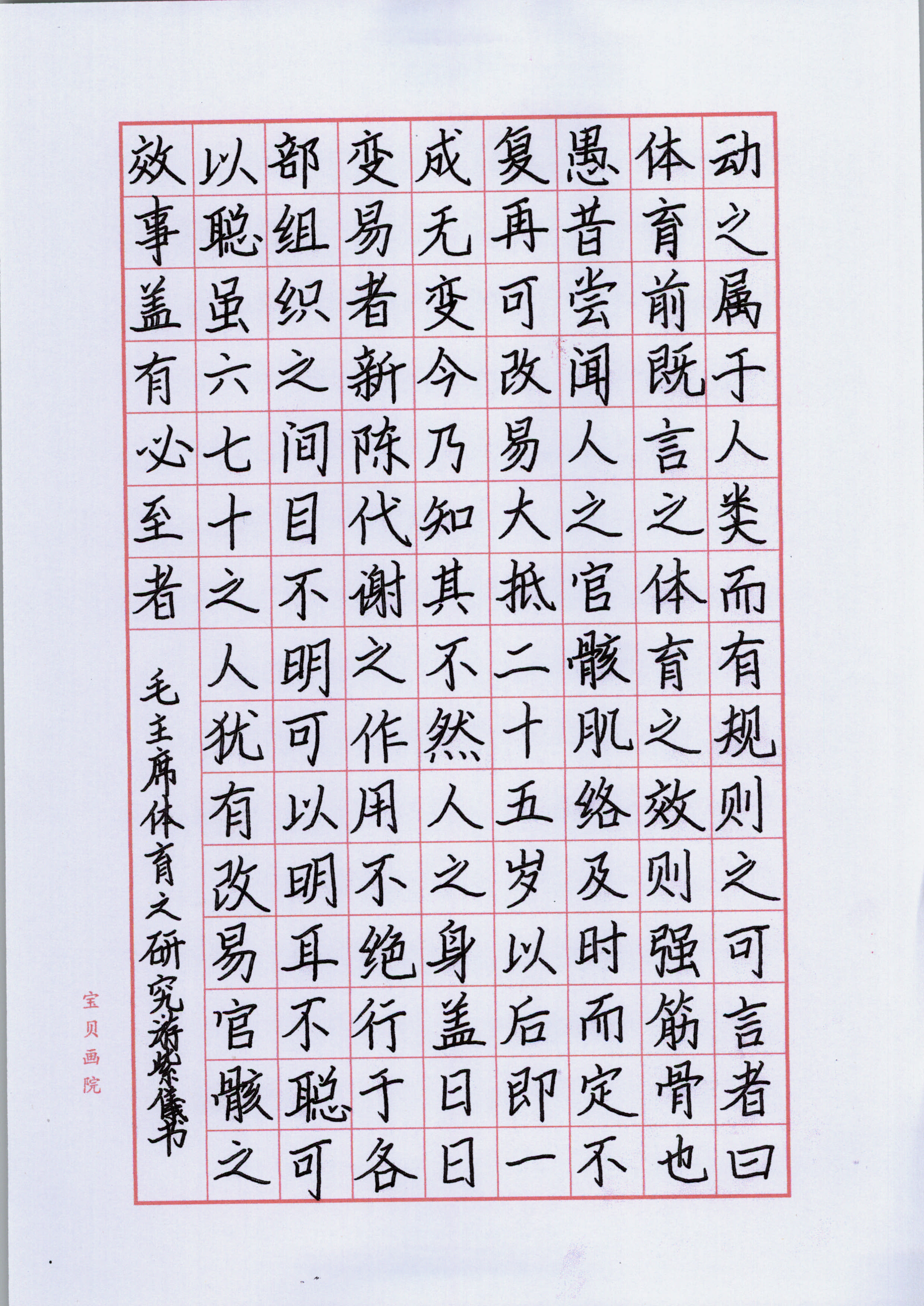 游紫仪