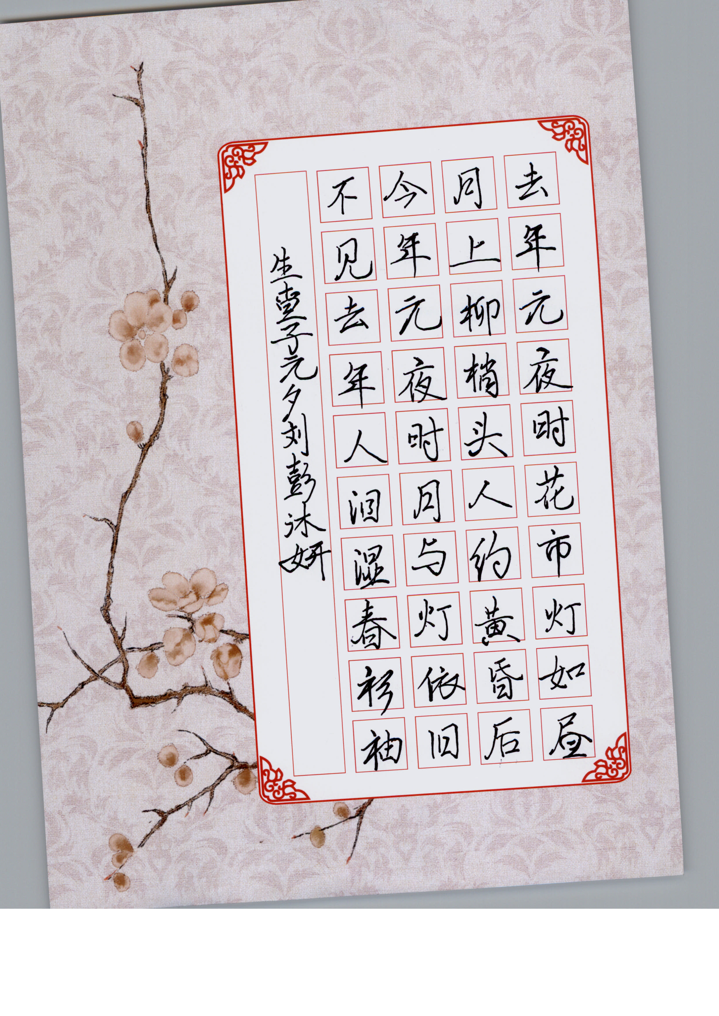 刘彭沐妍 (2)