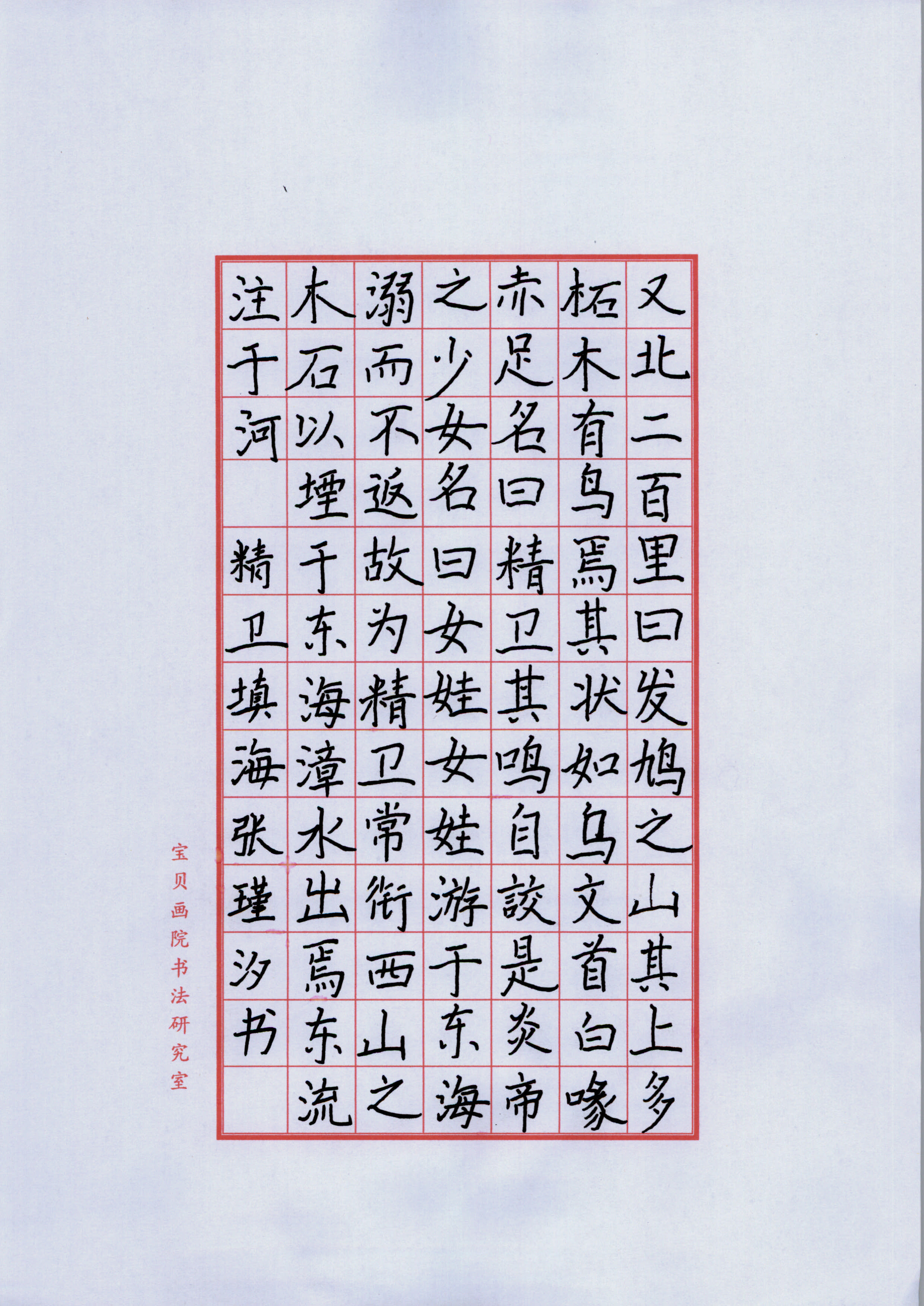 张瑾汐 (2)