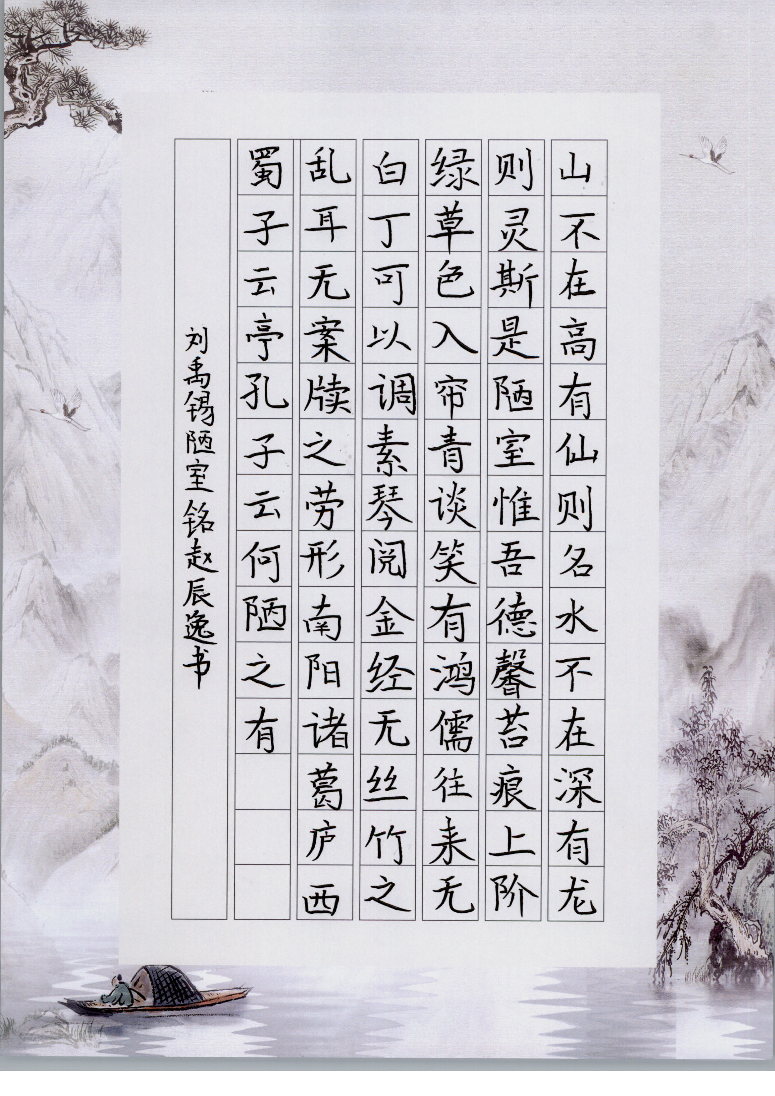 赵辰逸
