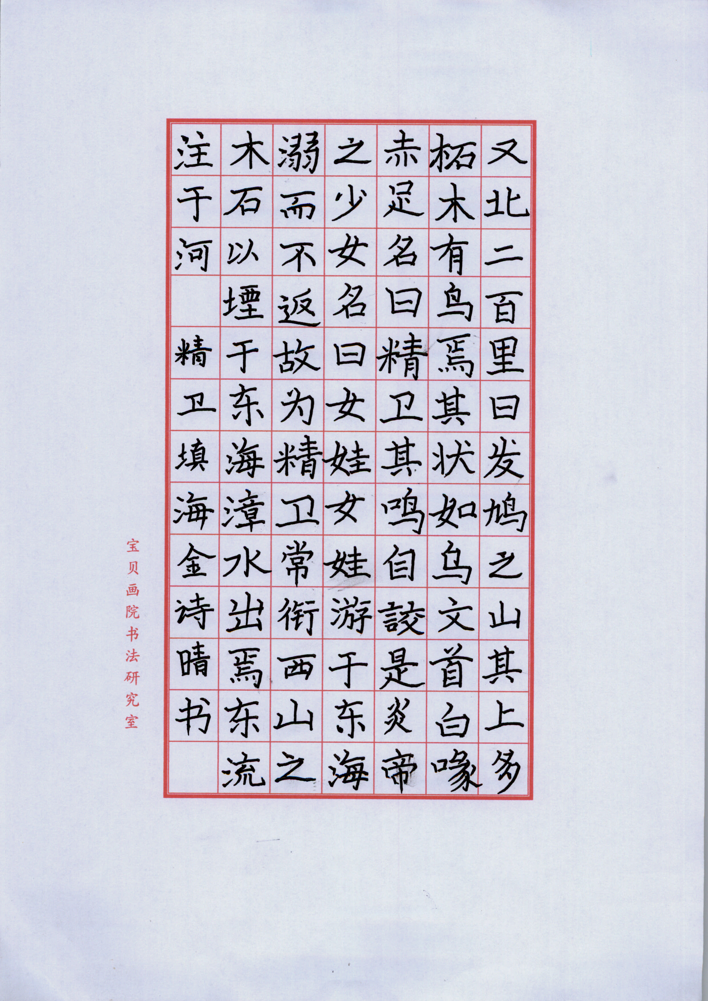 金诗晴 (2)